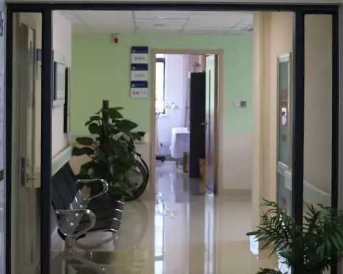 深圳供卵试管看孕宝国际