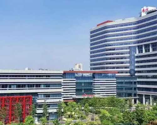 广州借卵做试管医院_24小时在线,广东做供卵试管的医院有哪些，广东试管婴儿