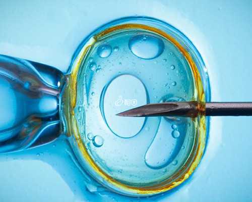 清远供卵医院兰梦试管徴