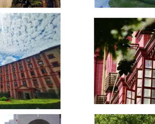 广东借卵包男孩,子宫内膜炎到河北省二院找范艳丽医生做试管婴儿怎么样？