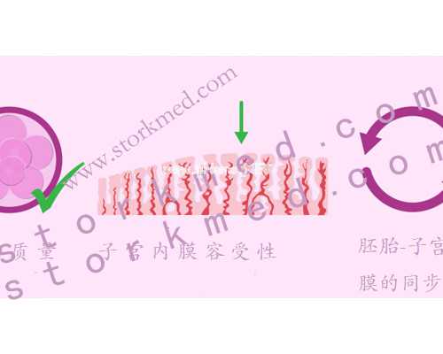 靠谱代孕公司有哪些,经常痛经千万不可大意！可能是子宫腺肌症在作怪！