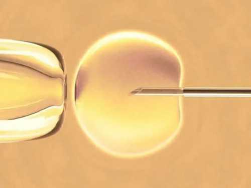 有正规代孕中心吗,男方没有正常健康的精子还能做二代试管婴儿吗？一文探知