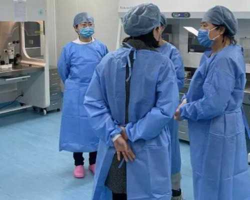 借卵试管排名，4ba早期囊胚算是培养到第几天的胚胎？