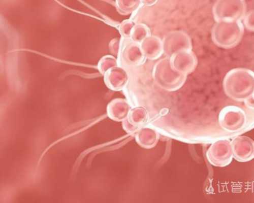 在广州做供卵试管费用