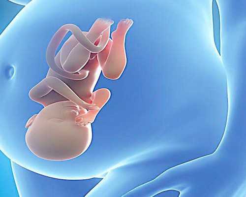 国内借卵生子可行吗_供卵代孕需要咨询,子宫内膜厚度18mm可以做胚胎移植吗