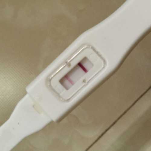 试管婴儿费用要多少?