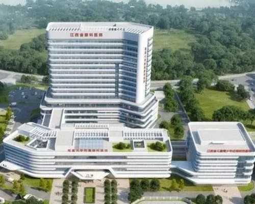 深圳蓝果果供卵中心怎么样