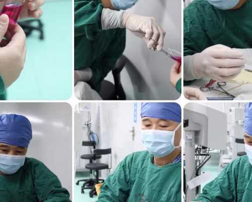 广州供卵医院来坤和助孕ok官网