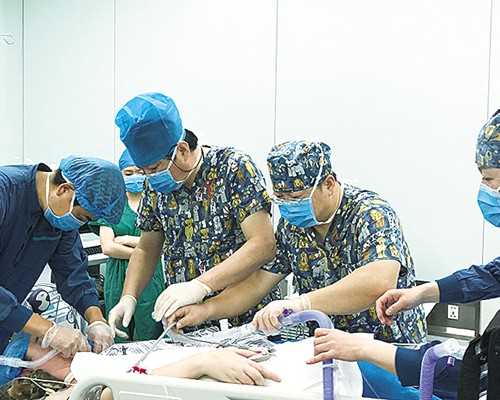 深圳供卵推荐德宝医疗