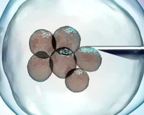 供卵自怀查看广州三甲助孕赞