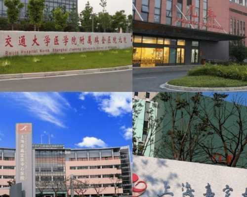 茂名供卵试管婴儿成功率最高医院