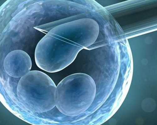 备孕不可盲目吃黑豆的原因，会不利于排卵吗？