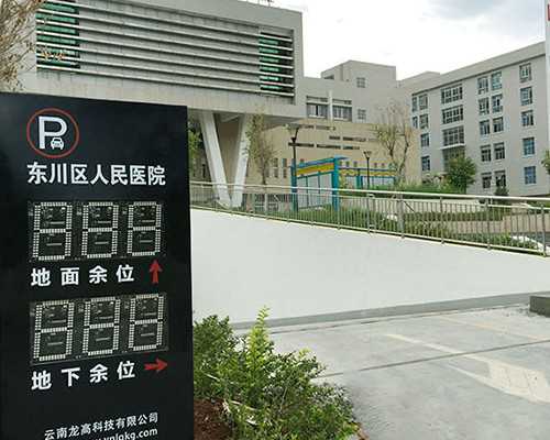 广州供卵试管生男孩包成功费用价格表