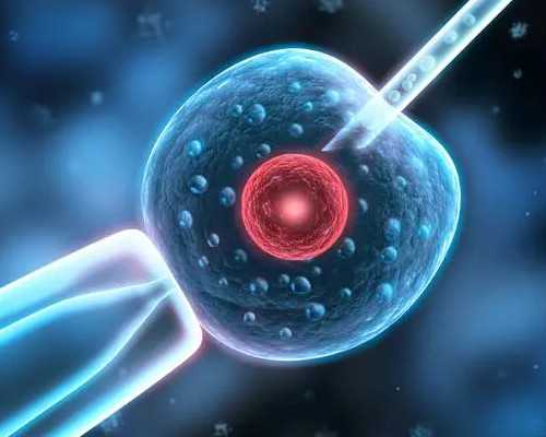 东莞供卵认定传承生殖,东莞供卵必来传承生殖权