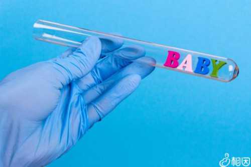 广州中山医院有供精供卵试管吗